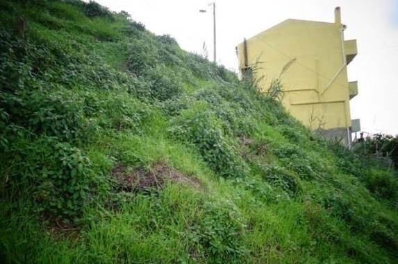 ruadasfloresecomercio_1a