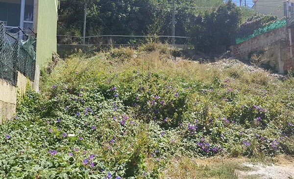 muroIII_Local antes da Interven&ccedil;&atilde;o - Vista NorteSul