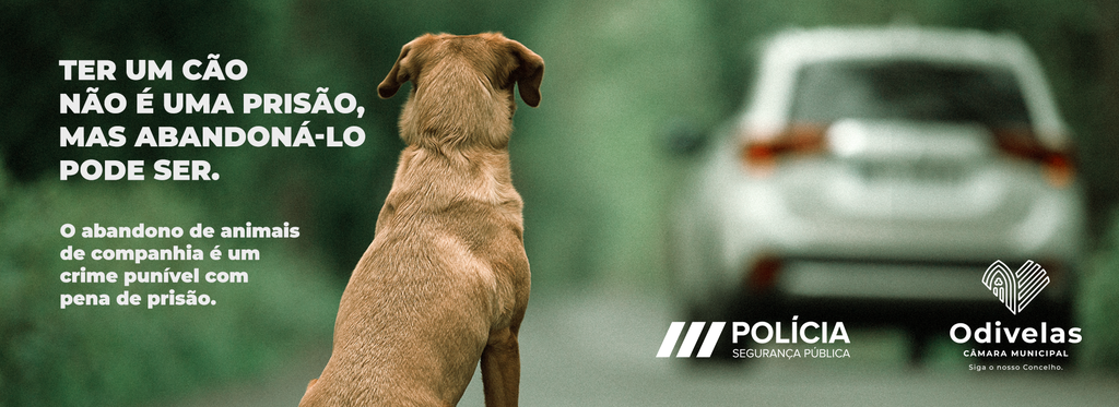 ODIVELAS_abandono-de-animais_1920x700 banner site